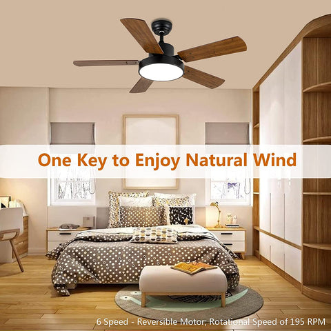 Misty Valley 44in. Modern Ceiling Fan with LED Light and Remote Control, 6-Speed Modes, Timer