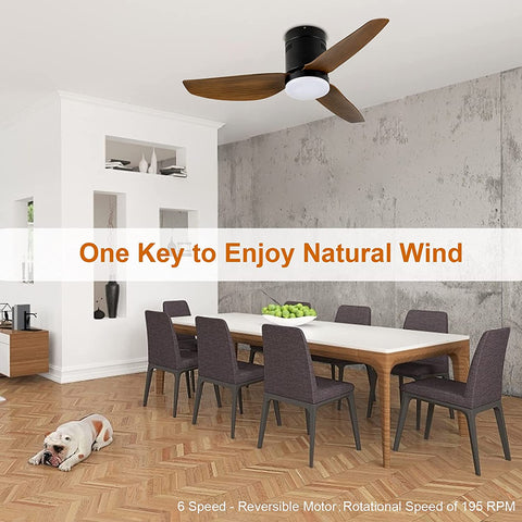 Misty Valley Simple Deluxe 40in. Ceiling Fan with LED Light and Remote Control, 6-Speed Modes, 2 Rotating Modes , Timer