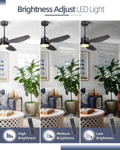 Misty Valley Modern Black Solid Wood LED Standard Ceiling Fan with Light,Remote Control