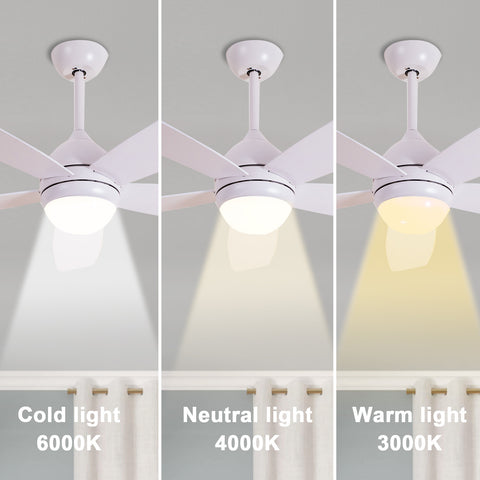 Misty Valley 52in. White Quiet DC Motor Ceiling Fan and Light,  Modern 6-Speed Remote Control Ceiling Fan