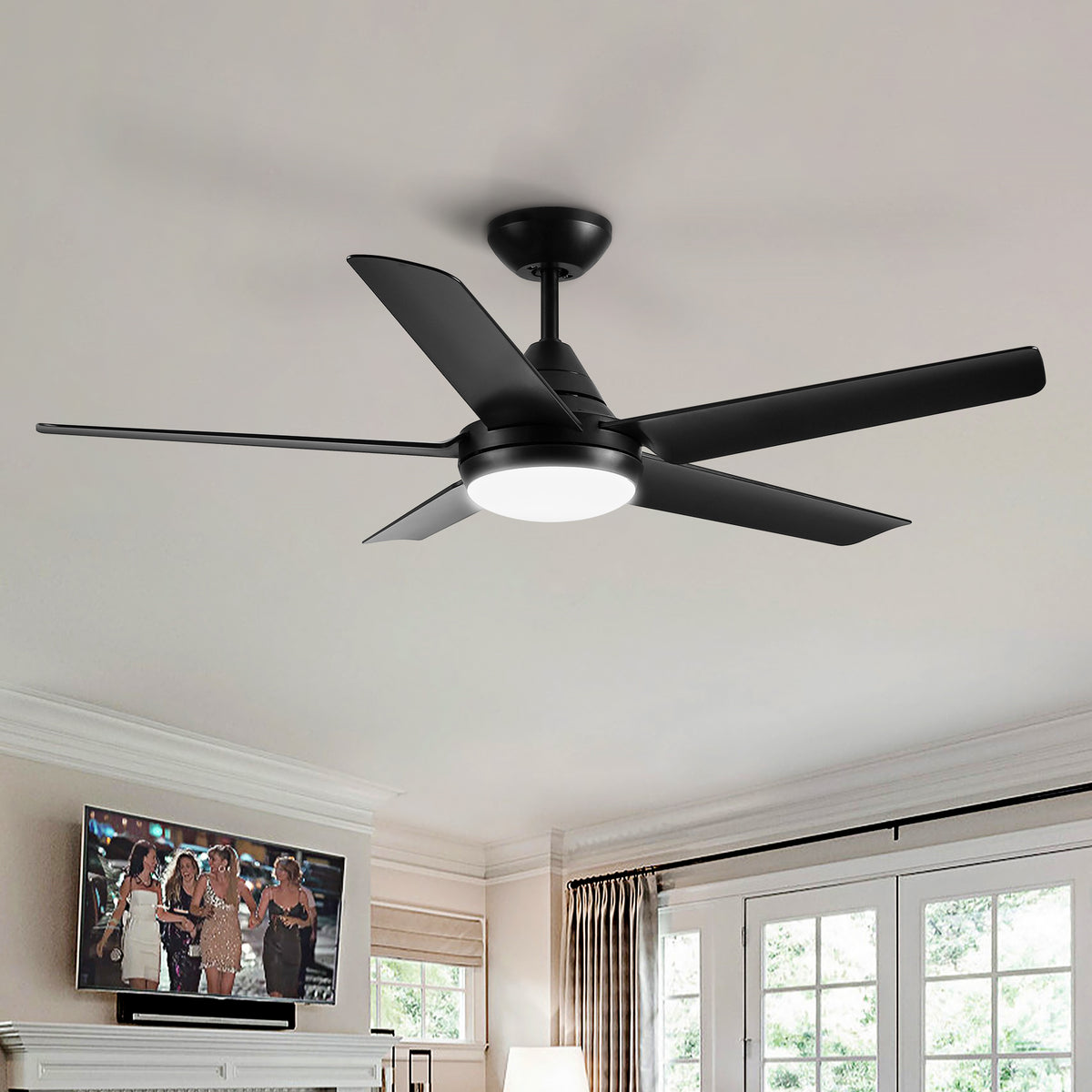 Misty Valley 48in. Integrated LED  Modern Black Ceiling Fan with Light,Remote Control