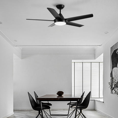 Misty Valley 48in. Integrated LED  Modern Black Ceiling Fan with Light,Remote Control