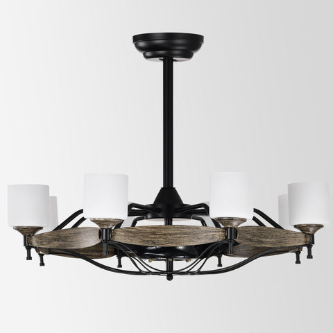Misty Valley Matte Black Ceiling Fan With Lights，DC Motor,Multi-Speed,Reversible Airflow, Anti-theft function,Indoor transitional Ceiling Fan