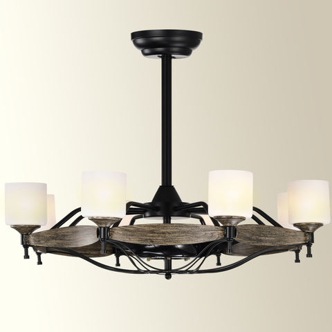 Misty Valley Matte Black Ceiling Fan With Lights，DC Motor,Multi-Speed,Reversible Airflow, Anti-theft function,Indoor transitional Ceiling Fan