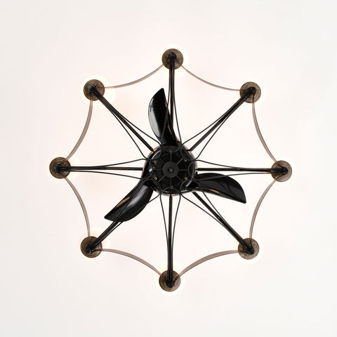 Misty Valley Matte Black Ceiling Fan With Lights，DC Motor,Multi-Speed,Reversible Airflow, Anti-theft function,Indoor transitional Ceiling Fan