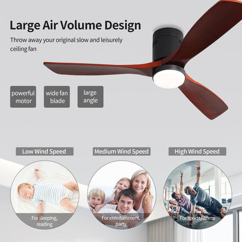 Misty Valley Modern 52in. Matte Black Ceiling Fan with Lights,Remote Control, Outdoor Wood Ceiling Fan , Noiseless Reversible DC Motor for Patio,Living Room, Bedroom