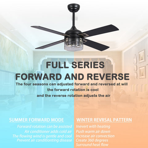 Misty Valley 48in. Modern Industrial Black Reversible Low Profile Ceiling Fan with Light For Living Room