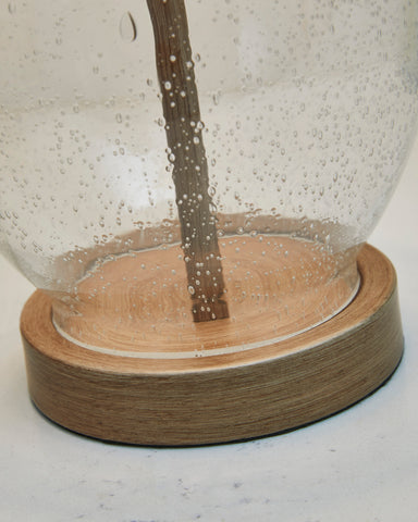 Misty Valley Clayleigh Clear/Brown Casual Table Lamp (Set of 2)